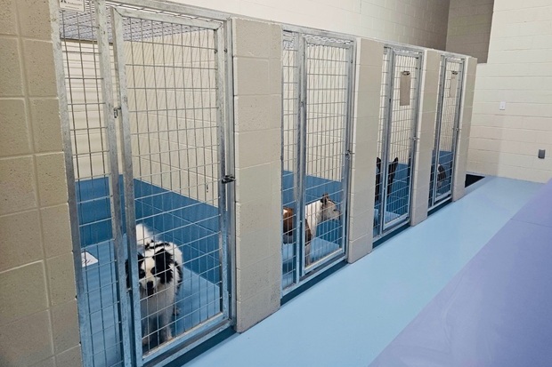 Progressive Pet Hospital