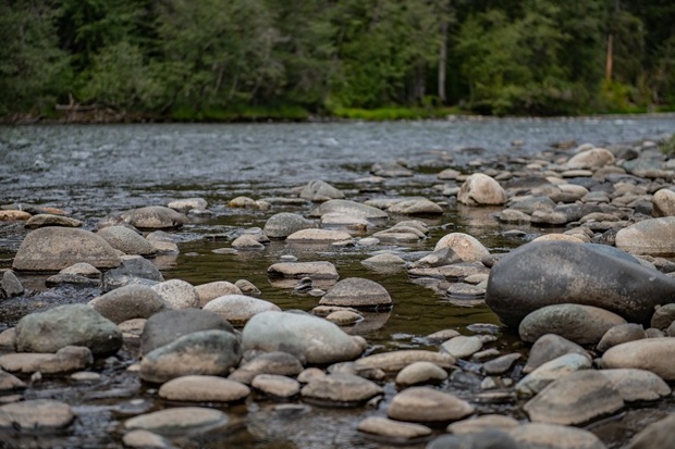 Whistlin' Jack Lodge