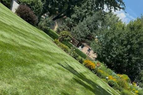 Elites Lawncare