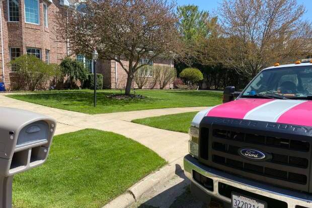 Elites Lawncare