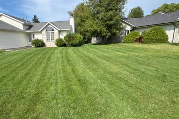 Elites Lawncare
