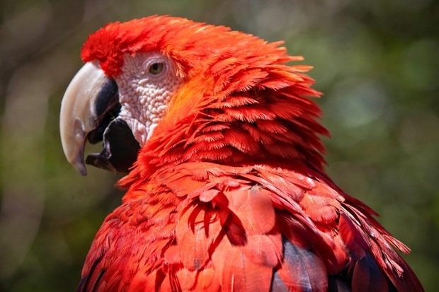 Mesker Park Zoo & Botanic Garden