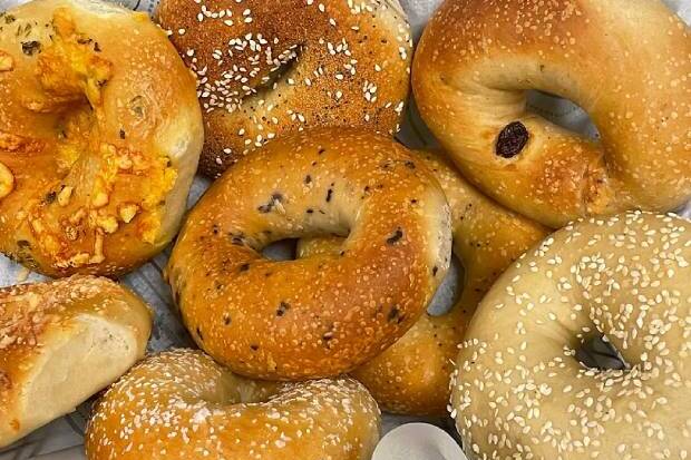 The New Daily Bagel