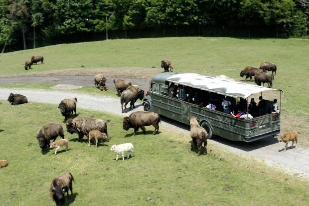Hidden Valley Animal Adventure