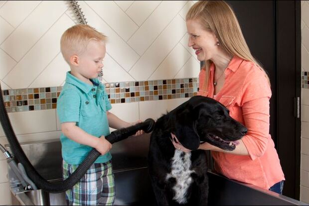 NOAH'S PET WASH at AM PM WASH-St.Cloud