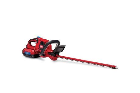 Townline Ace Hardware