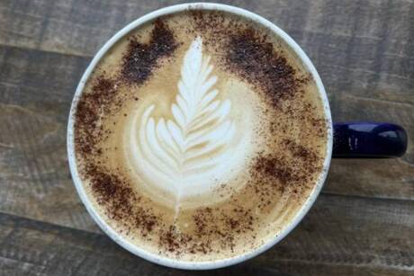 Blue Owl Coffee