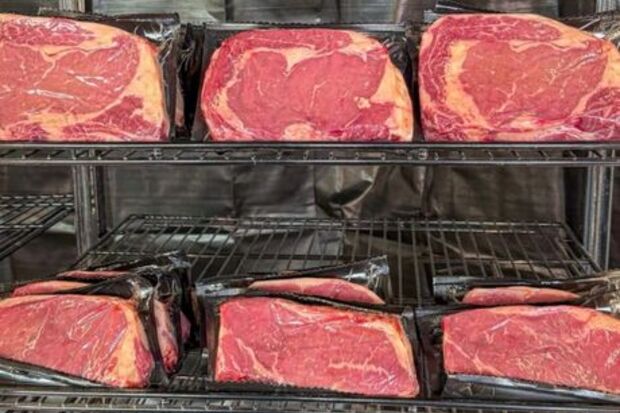 Carnismeats