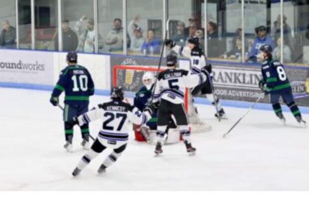 St. Cloud Norsemen