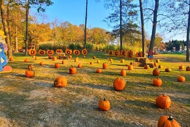 Dogwood Acres Family Farm