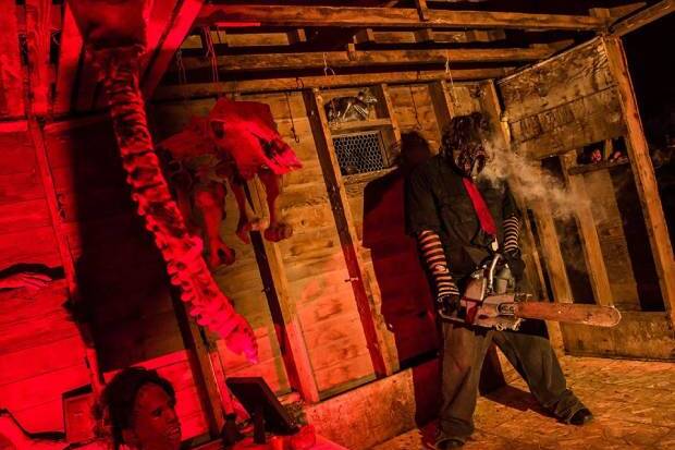 Fright at the Farm