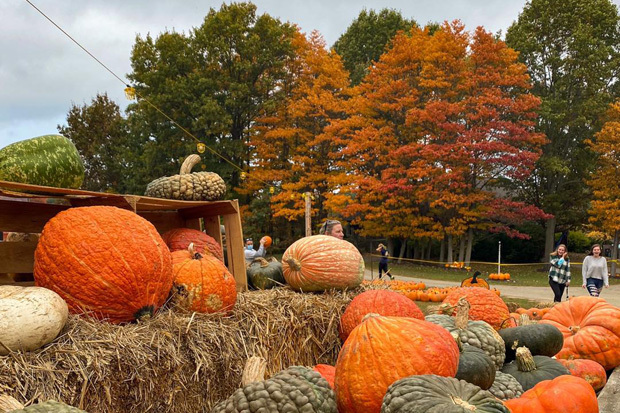 Harvest Moon Acres