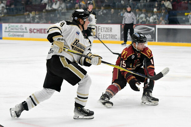 Bismarck Bobcats