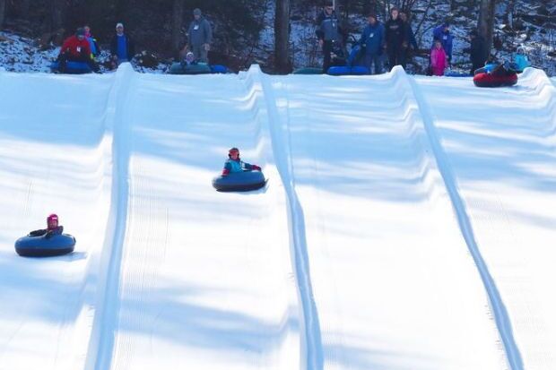 Ski Butternut