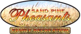 Sand Pine Pheasants