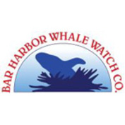 Barharborwhalewatch