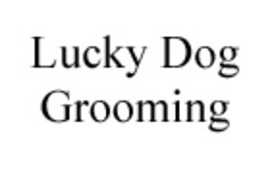 Lucky Dog Pet Grooming