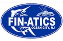 Fin-Atics