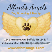 Alford's Angels