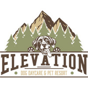Elevation Dog Daycare & Pet Resort