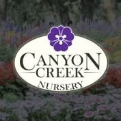 Canyon Creek Nursery