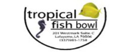 Tropical Fish Bowl