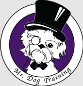 Mr. Dog Training