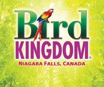 Bird Kingdom