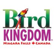 Bird Kingdom