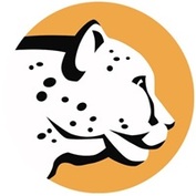 Cheetah Clean Car Wash
